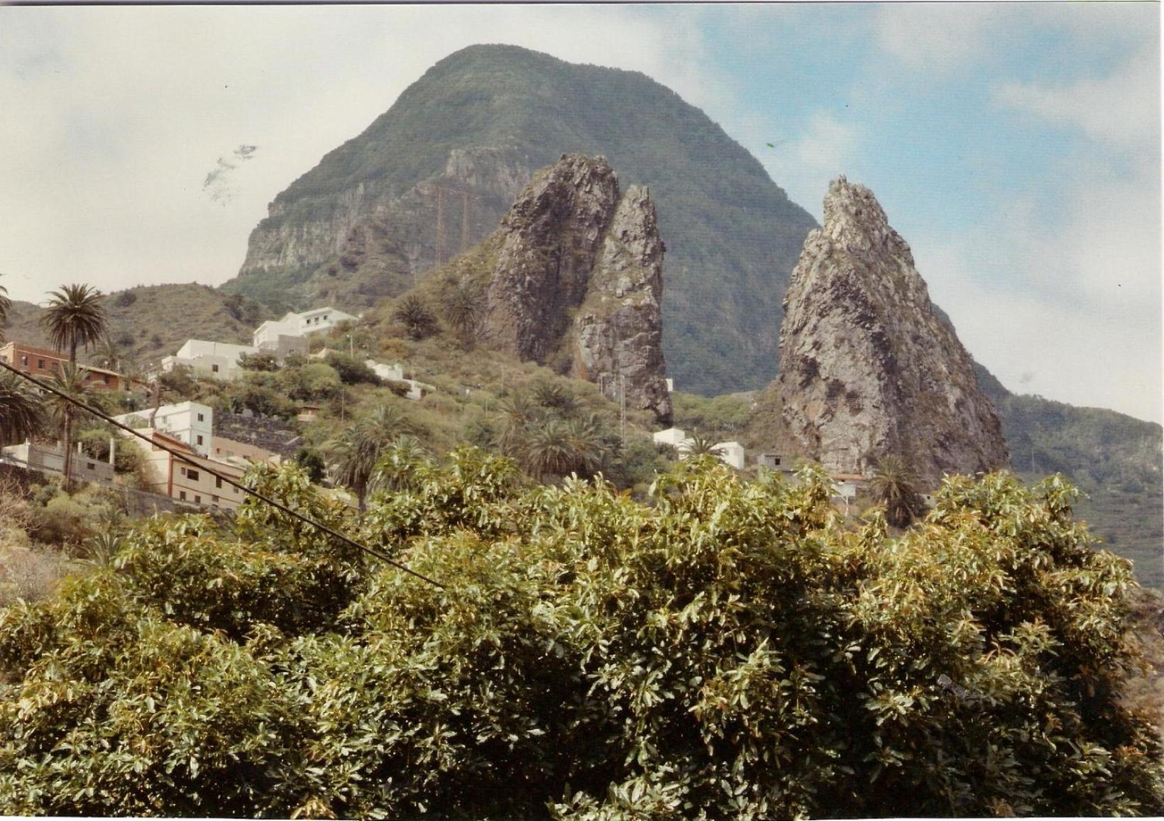 Casa rural Finca Piñero Hermigua